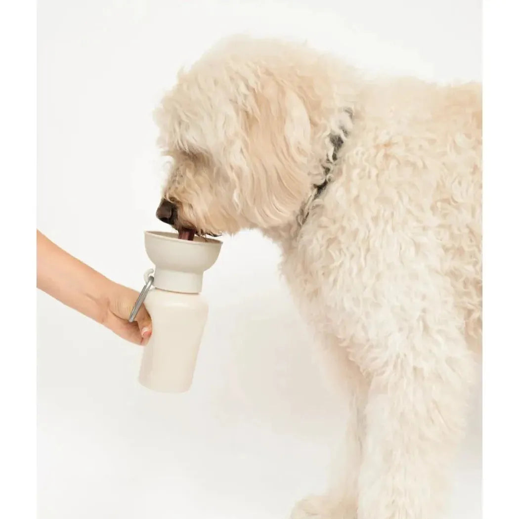 Springer Flip Dog Travel Bottle-Pets - Bowls-Springer-Appalachian Outfitters