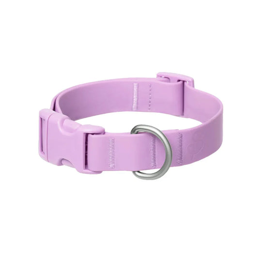 Springer Waterproof & Adjustable Dog Collar-Pets - Collars-Springer-Lilac-S-Appalachian Outfitters