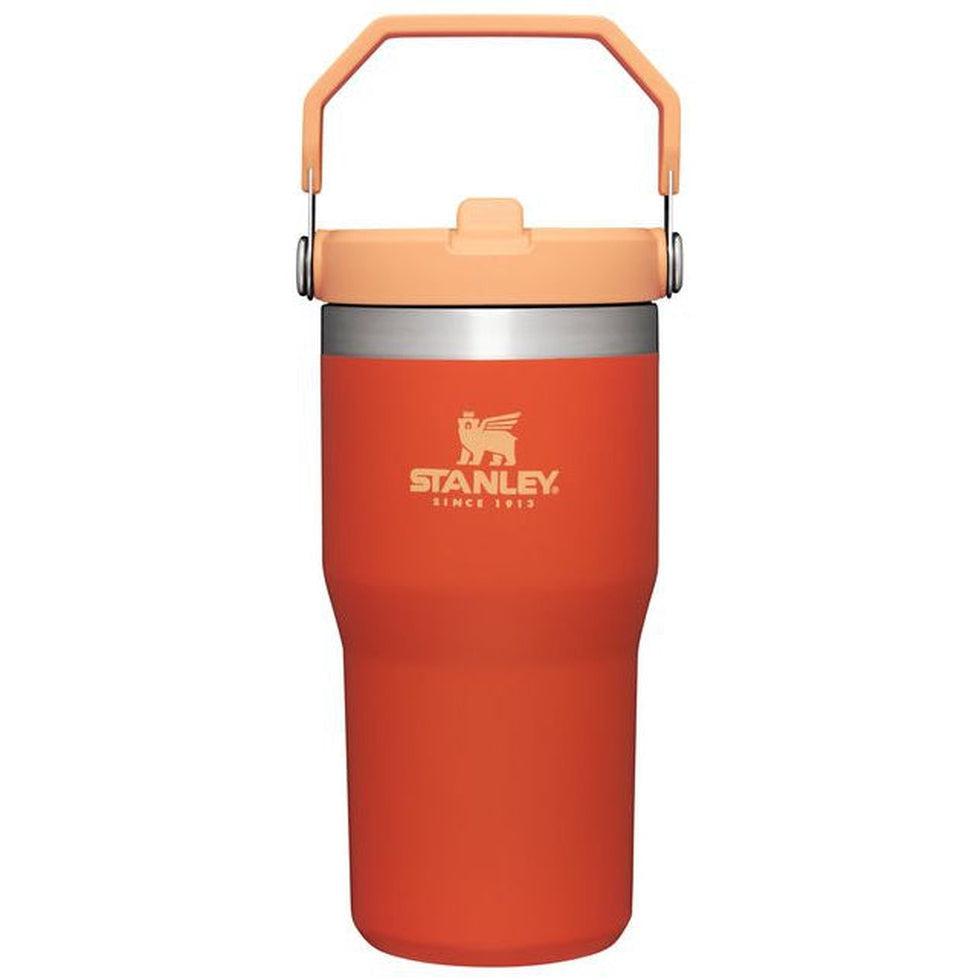 Stanley The IceFlow Flip Straw Tumbler 20oz – Appalachian Outfitters