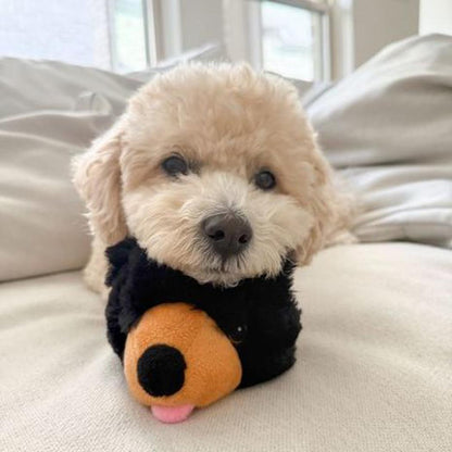 Tall Tails 2-in-1 Black Bear-Pets - Toys-Tall Tails-Appalachian Outfitters