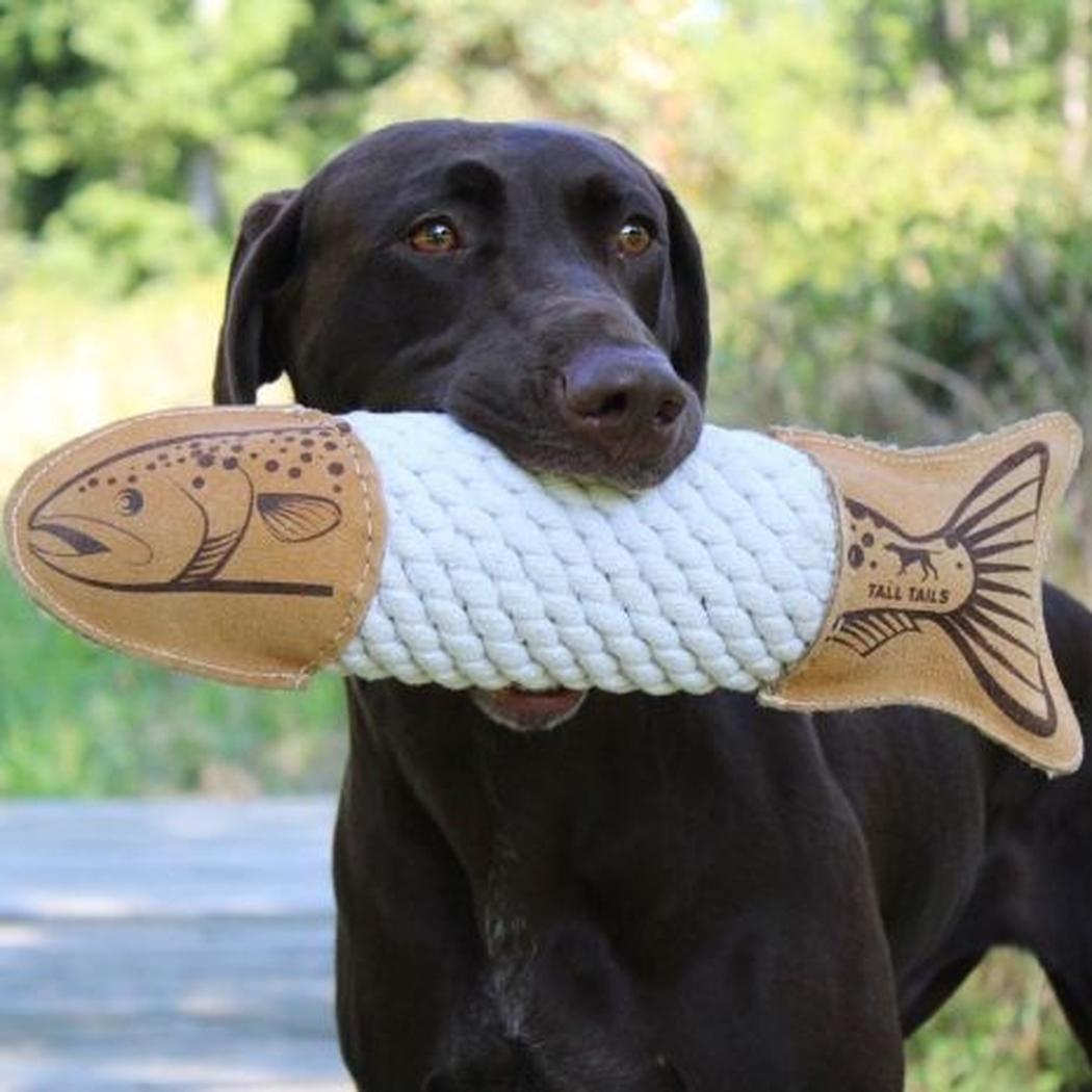Tall Tails Natural Leather Trout Rope Tug Dog Toy - 15"-Pets - Toys-Tall Tails-Appalachian Outfitters