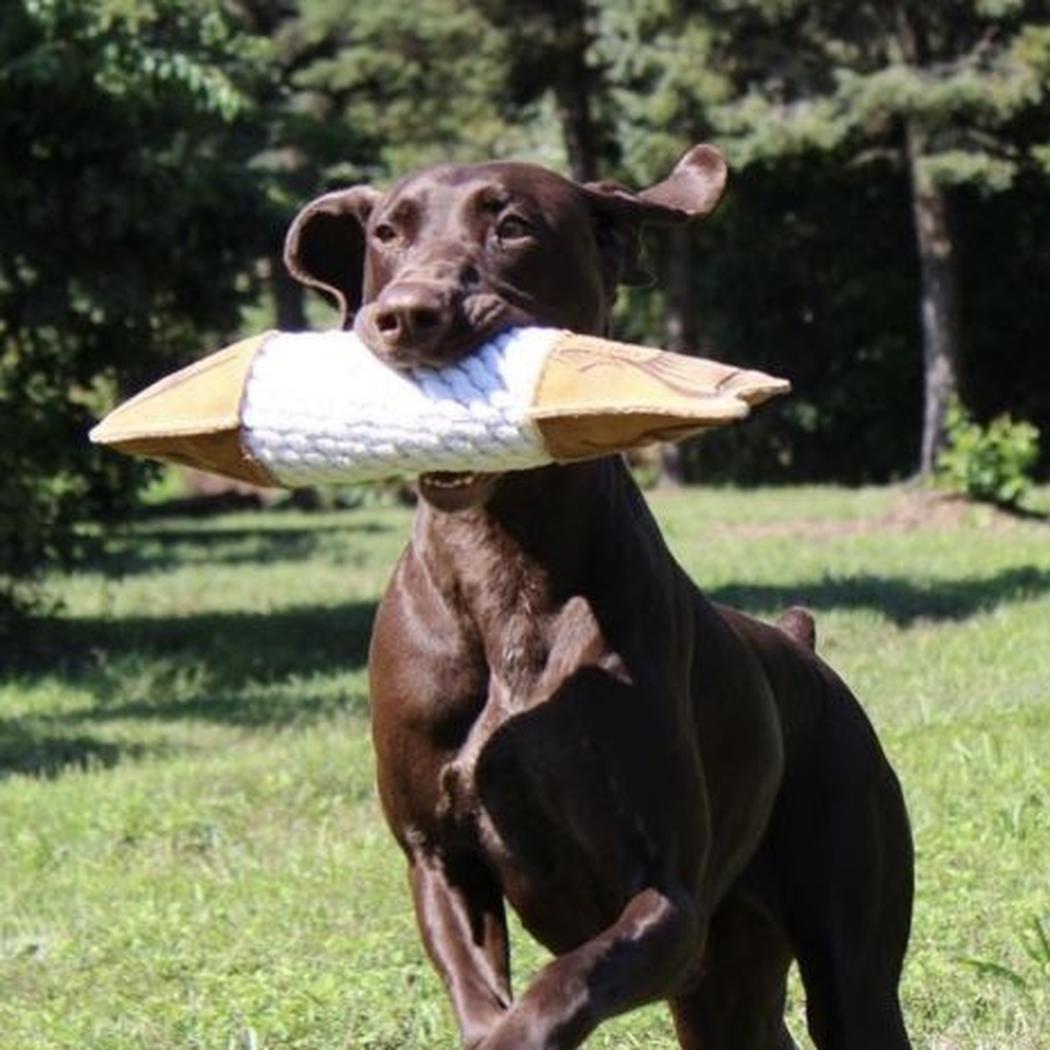 Tall Tails Natural Leather Trout Rope Tug Dog Toy - 15"-Pets - Toys-Tall Tails-Appalachian Outfitters