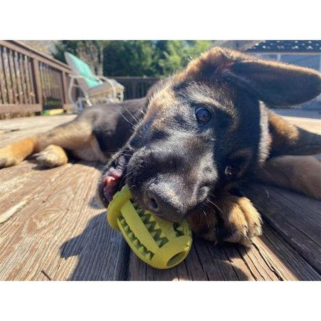 Tall Tails Natural Rubber Acorn Toy - 3"-Pets - Toys-Tall Tails-Appalachian Outfitters