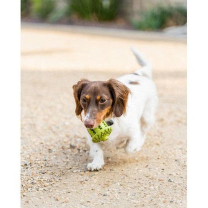 Tall Tails Natural Rubber Acorn Toy - 3"-Pets - Toys-Tall Tails-Appalachian Outfitters