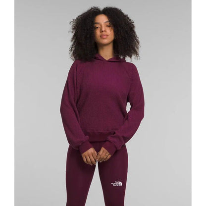 Women's Chabot Hoodie-Women's - Clothing - Tops-The North Face-Boysenberry-S-Appalachian Outfitters